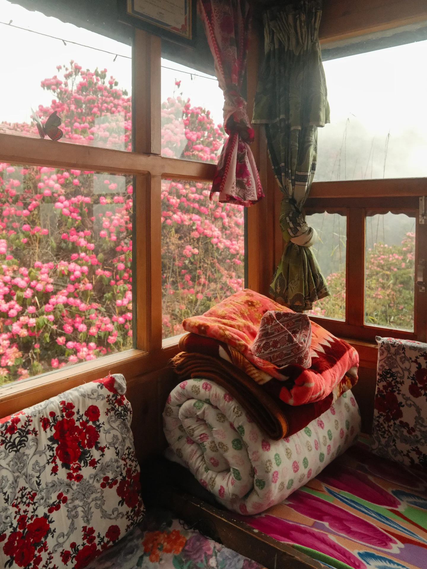 Poon Hill Trek: A Complete and Honest Guide 7 A cosy teahouse window seat in Ghandruk piled with red floral cushions and blankets, with branches of pink rhododendron resting against the wooden window frame.