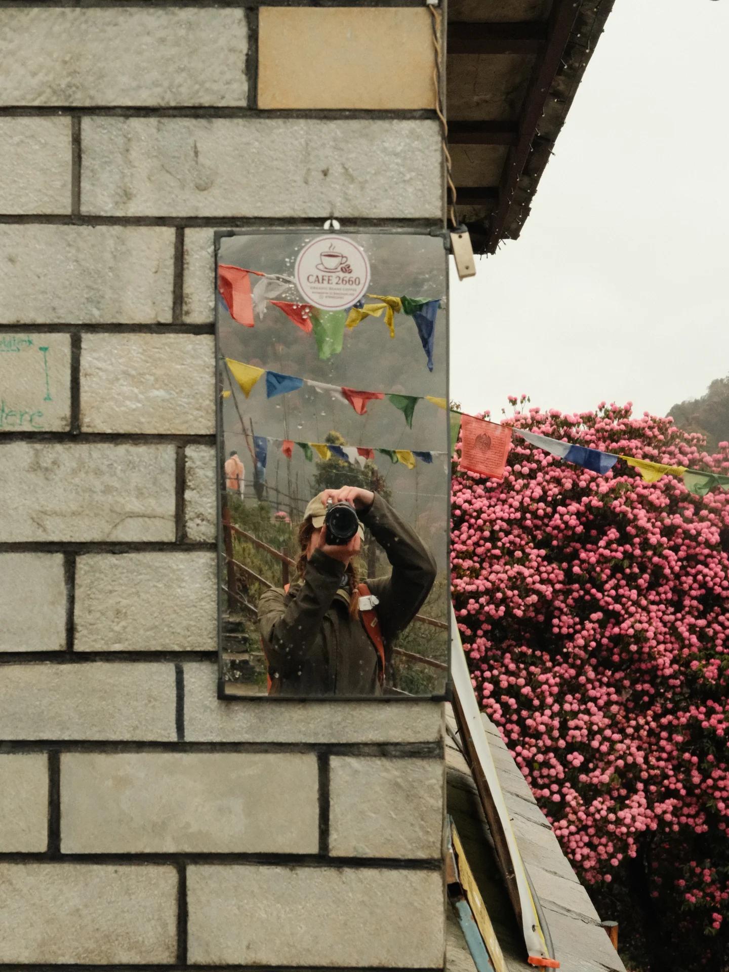 Poon Hill Trek: A Complete and Honest Guide 2 A trekker photographing themselves in a mirror outside Cafe 2660, with colourful Tibetan prayer flags and pink rhododendron blooms in the background.