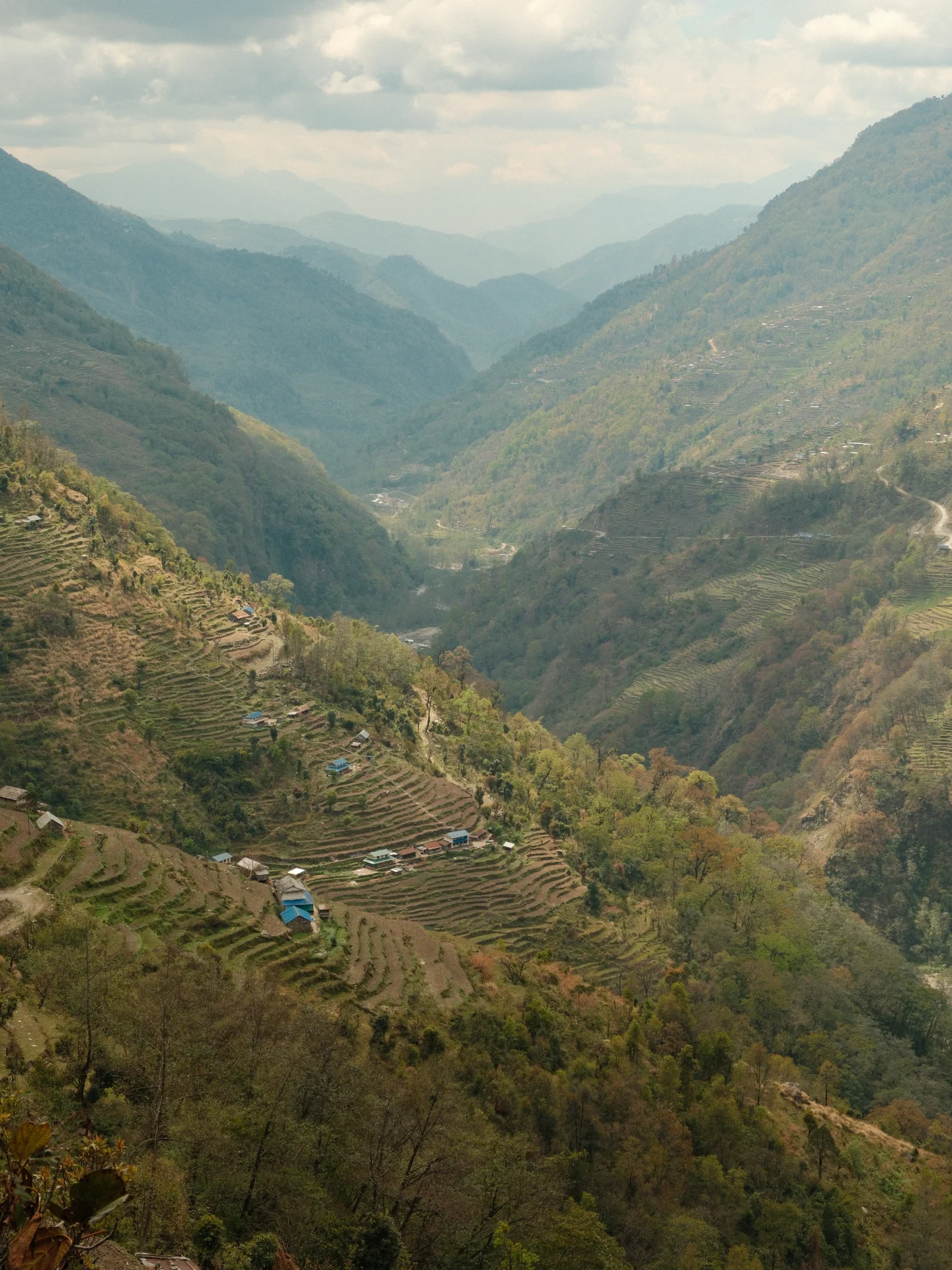 Poon Hill Trek: A Complete and Honest Guide 11 A sweeping view down the terraced Modi Khola valley, with layered rice terraces and small villages descending into the hazy mountain ridges.